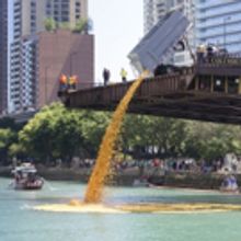 11th Annual Windy City Rubber Ducky Derby to Benefit Special Olympics Illinois, Today
