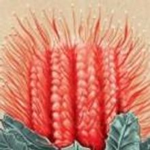 Brink Productions to Present THE ASPIRATIONS OF DAISE MORROW