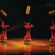 The New Cirque Du Soleil Show 'OVO' is Coming To Florida For the First Time