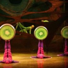 BWW Review: CIRQUE DU SOLEIL'S OVO at HEB Center In Cedar Park is Family Friendly Thr