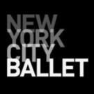 David P. Thiele Is the New Managing Director of David H. Koch Theater
