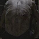THE SUFFERING Coming to VOD & DVD