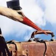 Leonardo da Vinci Centre & Pellegrini Productions's DON'T BLAME IT ON THE STORK Begin