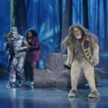 NBC's THE WIZ LIVE, David Alan Grier Among Winners of 2016 NAACP Image Awards