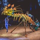 Cirque du Soleil to Juggle Two New Shows in New York This Fall