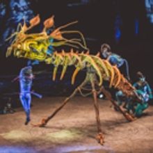 Cirque du Soleil to Juggle Two New Shows in New York This Fall