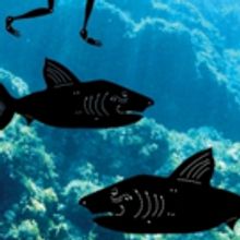 Riverside Theatres Presents Stunning Indonesian-Australian Production THE AGE OF BONE