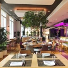 BWW Preview: GREEN FIG at YOTEL in Hell's Kitchen Offers Modern Israeli Cuisine
