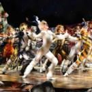 Cast Announced for All-Australian Production of Andrew Lloyd Webber's CATS…
