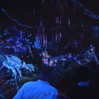 VIDEO: James Cameron Gives First Look at Disney World's New AVATAR Attraction Video