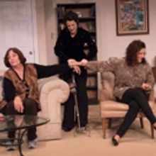 BWW Review: THE TALE OF THE ALLERGIST'S WIFE Explores What it Takes to Unravel a Mid-