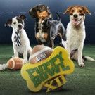PUPPY BOWL XII Retrieves Hit Ratings for Animal Planet