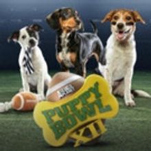 PUPPY BOWL XII Retrieves Hit Ratings for Animal Planet