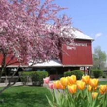 Celebrate Mother's Day with Food, Theatre and More at Amish Acres