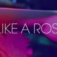 Victoria + Jean Debut 'Take You Like A Rose' Video via Fringe Music