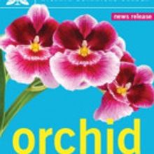 Escape To The Sultry Tropics At Winter's Favorite Exhibition