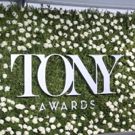 Photo Coverage: 2017 Tony Award Red Carpet Arrivals- Part 1