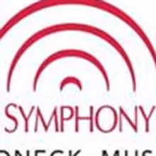 Pittsburgh Symphony Orchestra presents Sensory-Friendly Performance of MUSIC OF…