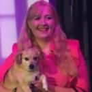 CCCT's LEGALLY BLONDE Opens Tonight