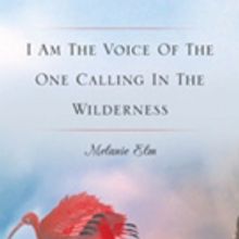 Melanie Elm Shares 'I Am The Voice Of The One Calling In The Wilderness'
