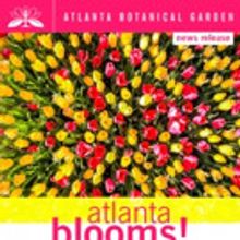 Kiss Those Winter Blues Goodbye With Thousands Of Spring Bulbs