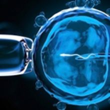 Kansas City Actors Theatre to Continue Season 11 with A NUMBER