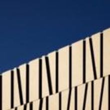 The Wallis Welcomes New Board Member Arnon Adar