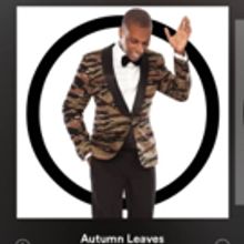 BWW Blog: Alyssa Sileo - Songs That Sum Up Fall