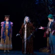 BWW Review: Houston's Theater Under the Stars Ventures INTO THE WOODS