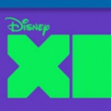 Disney XD Delivers Near Record Primetime Ratings in 2015