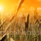 New Musical BOSTON|NEBRASKA To Have First Staged Reading