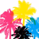The Second City Hollywood to Host New LA Diversity in Comedy Festival