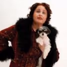 Photo Flash: Tinkerbelle the Dog Stars as 'Chowsie' in GYPSY at Harbor Lights Theater