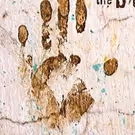 nocturne Presents WITNESS THE BEGINNING Tonight