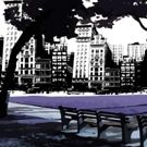 The Araca Project Presents ACROSS THE PARK
