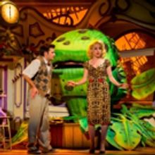 BWW Review: LITTLE SHOP OF HORRORS, New Wimbledon Theatre, 23 August 2016