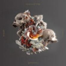Vancouver Sleep Clinic Announces Debut Album 'Revival'; Premieres 'Someone To Stay'