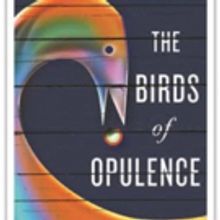 New Novelist Pens First Book, THE BIRDS OF OPULENCE
