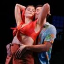 Bay Street Offers GREY GARDENS Premium Picnic Package