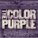Hillary Clinton Receives Standing Ovation at Final Performance of THE COLOR PURPLE
