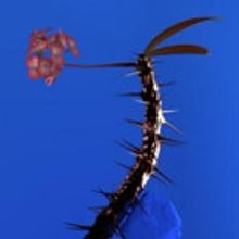 Grammy-Winning Producer Flume's Skin Companion EP II Out Now