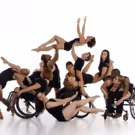 Dancing Wheels Re-Imagines Jim Henson's LABYRINTH at Cain Park