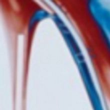 Shoe Fits Productions presents the World Premiere of THE LADY IN SHOES FROM HELL