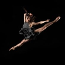 Critically Acclaimed Dance Troupe Bodytraffic Makes Santa Rosa Debut