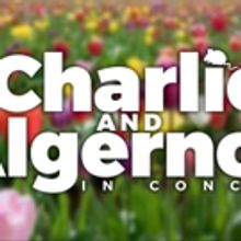 Original Stars Reunite for CHARLIE AND ALGERNON Tonight at Feinstein's/54 Below