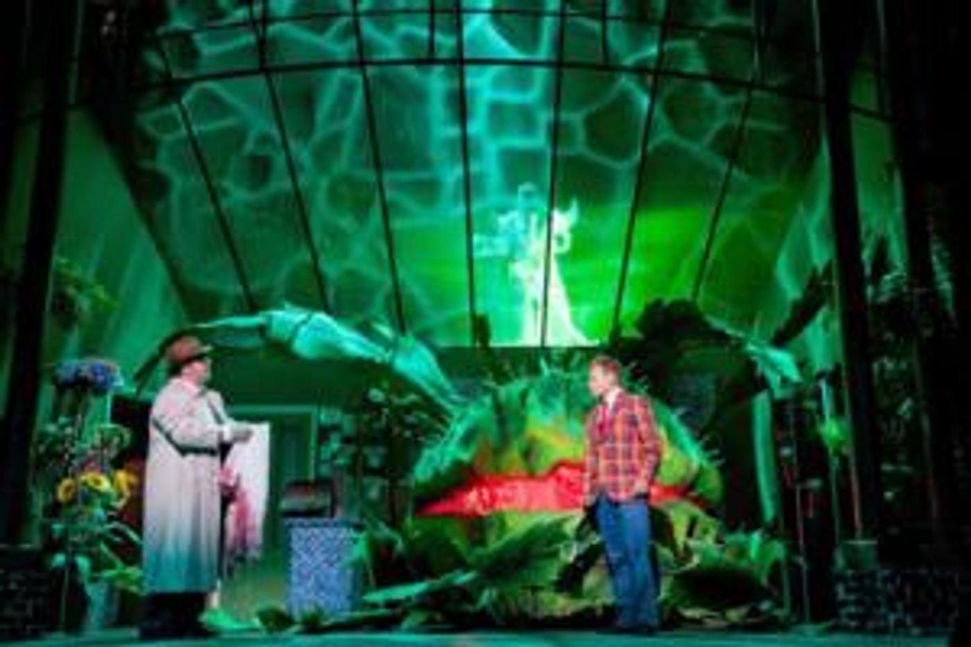 Photo Flash: Einblicke in den KLEINEN HORRORLADEN in Bonn  Image