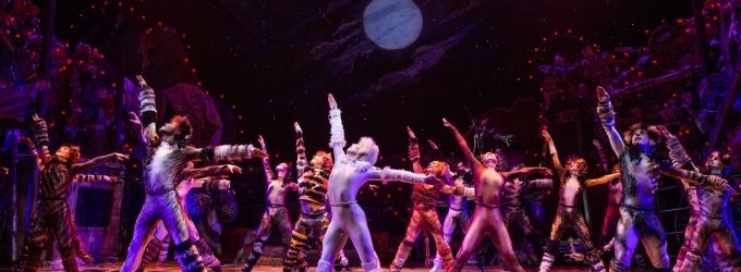 TV: They're Back! Watch Highlights from CATS on Broadway! Video