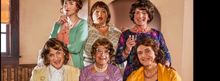 Flash: First Look at the Cast of GableStage's CASA VALENTINA by Harvey Fierstein