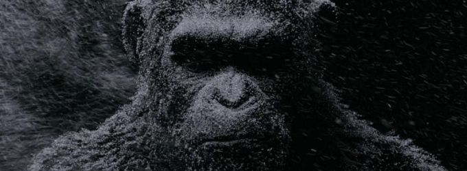 VIDEO: Times Square Digital Billboard for WAR FOR THE PLANET OF THE APES Revealed! Video