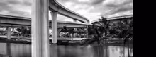 Flash: See the Winners of 'The Bridges of Palm Beach County' Contest